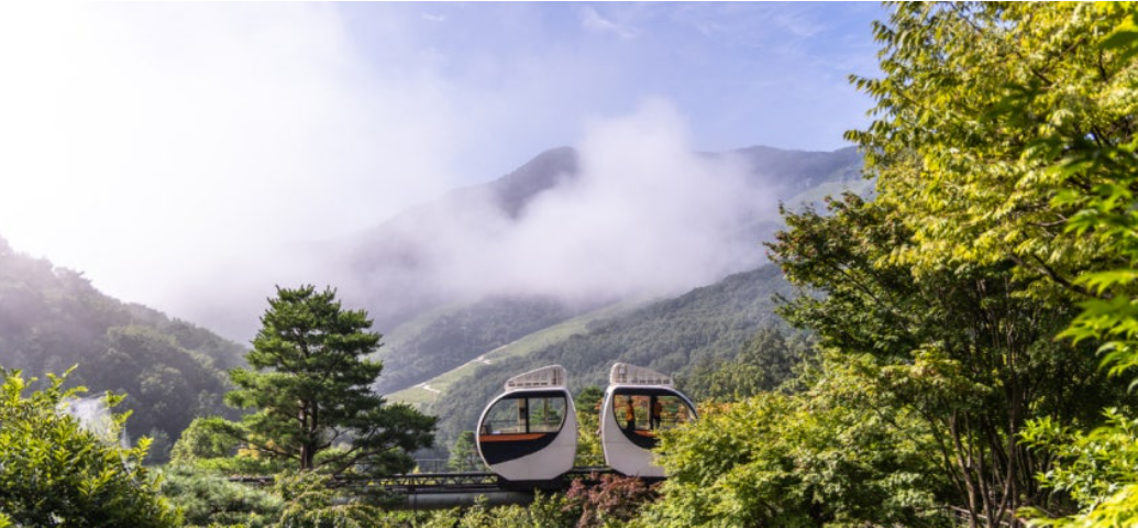 7~8월 화담숲캉스 예매하기