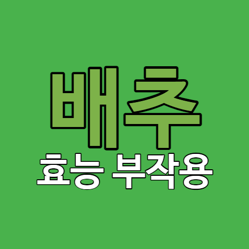 배추 효능 부작용