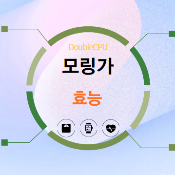 모링가 효능 탐구