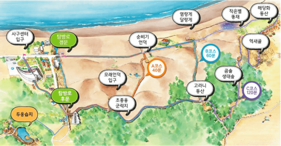 신두리-해안사구