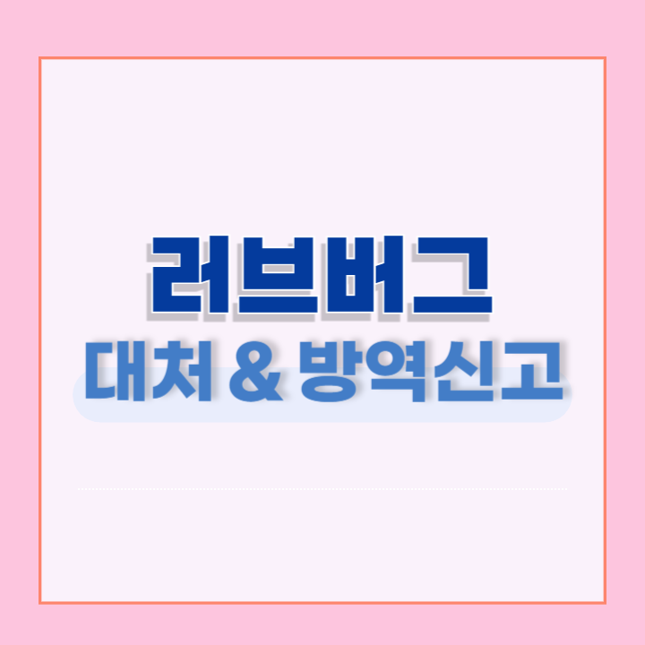 러브버그 대처 및 방역신고방법 안내