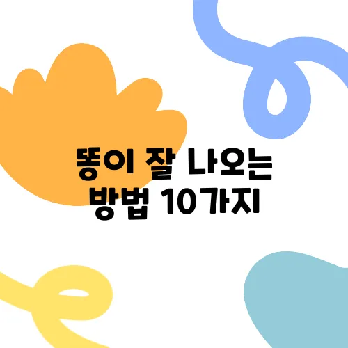 똥이 잘 나오는 방법 10가지