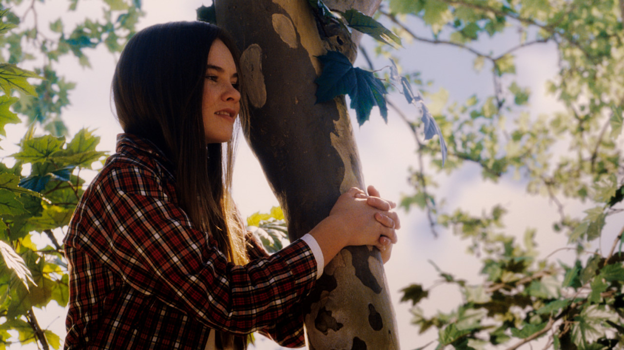 플라타너스 나무에 올라가 있는 줄리