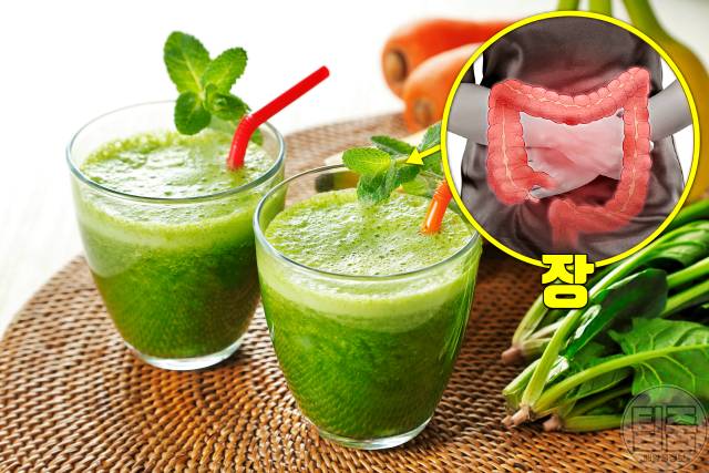 최고의 건강식품 세계보건기구 좋은음식 시금치 대장암