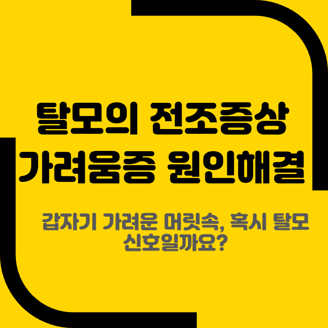 탈모의 전조증상 가려움증 원인해결