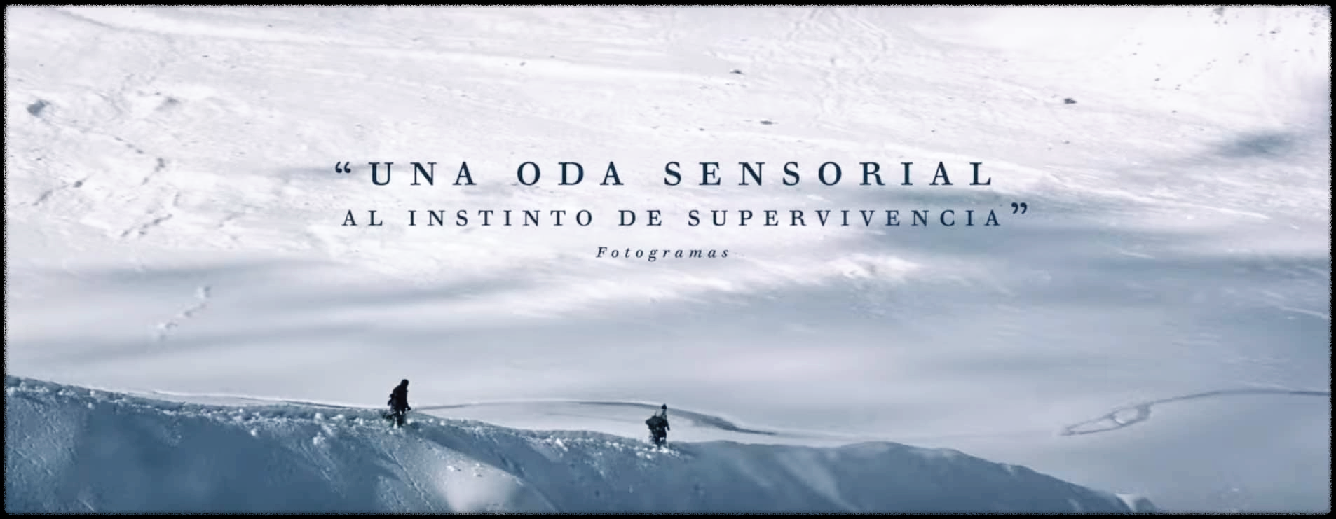 안데스 설원의 생존자들