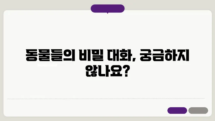 동물 행동학: 동물들은 어떻게 의사소통할까?