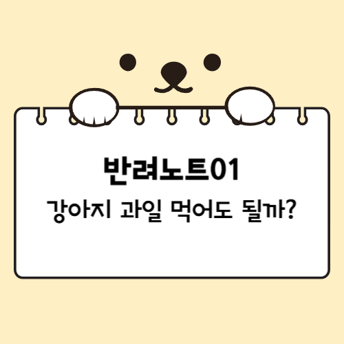 강아지가 먹어도 되는 과일과 안되는 과일에 대한 글의 썸네일