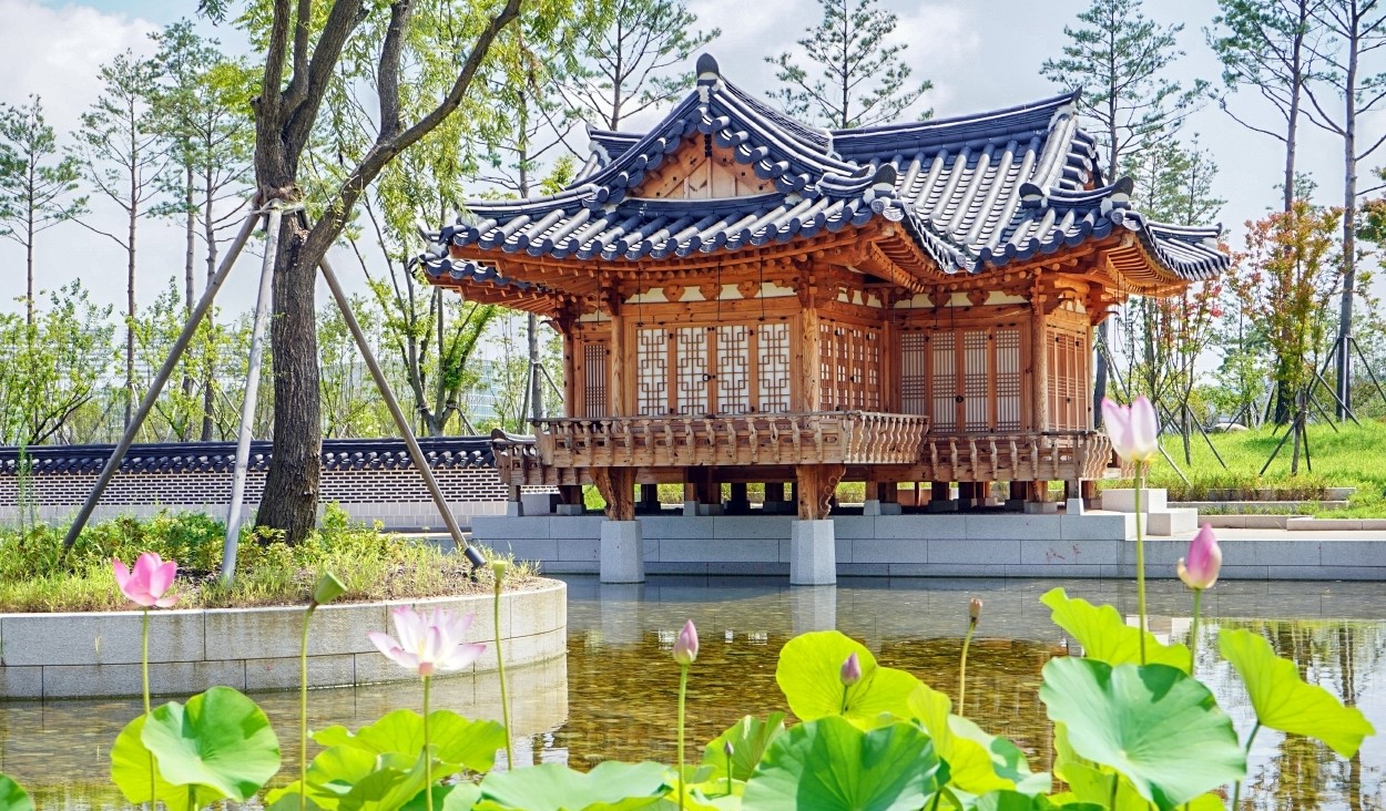 국립세종수목원 관람 가이드|운영시간·주차·동선 완벽 정리