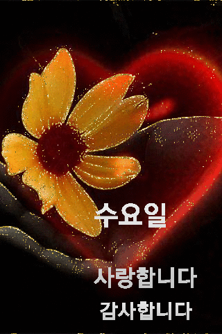 수요일 인사말 8