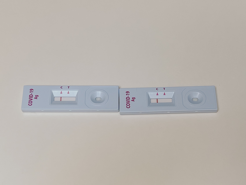 코로나19 자가검사 음성 확인