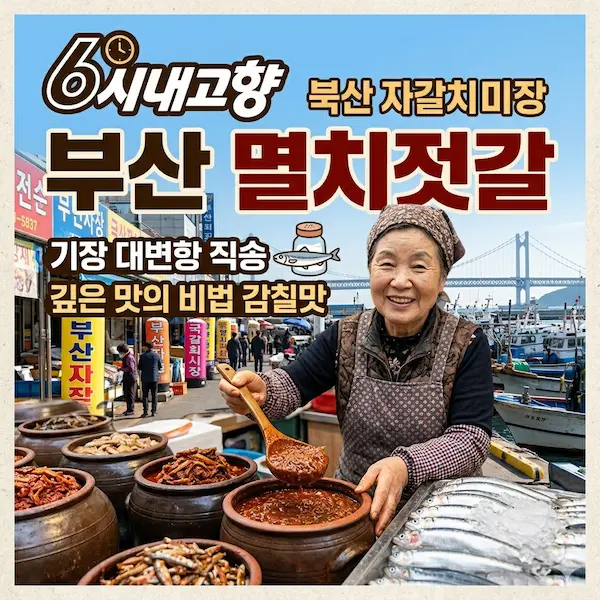 6시내고향 부산 멸치젓갈