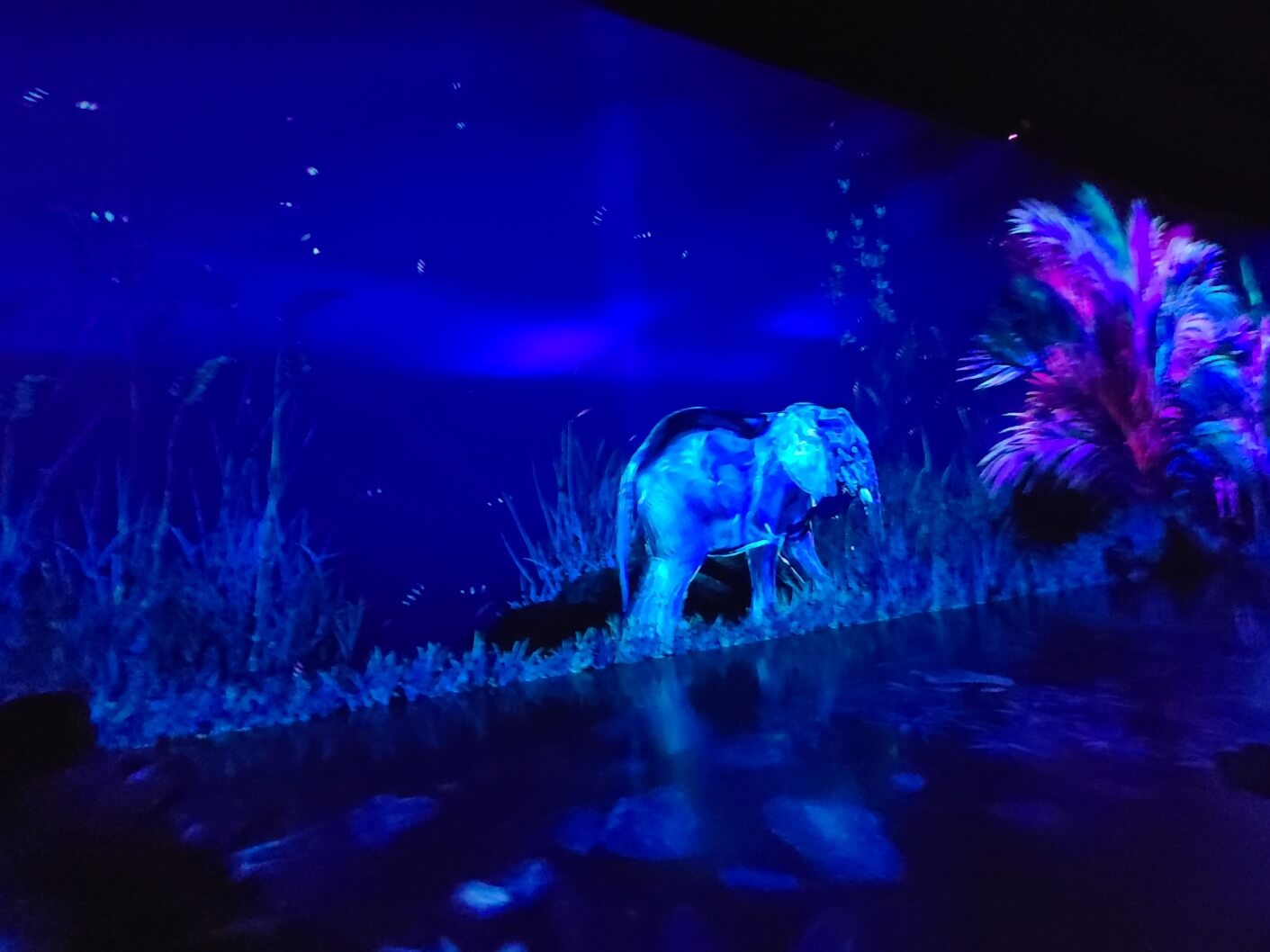 여수아르떼뮤지엄 미디어아트 정글 1