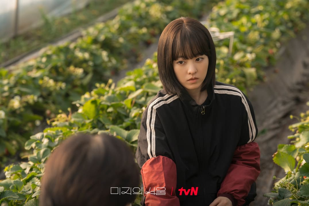 드라마 미지의서울 관련 이미지