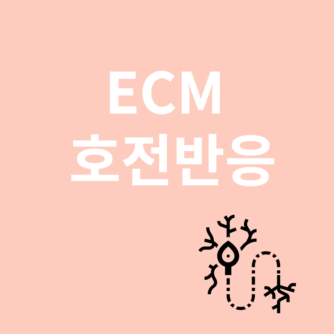 ECM과 관련된 이미지