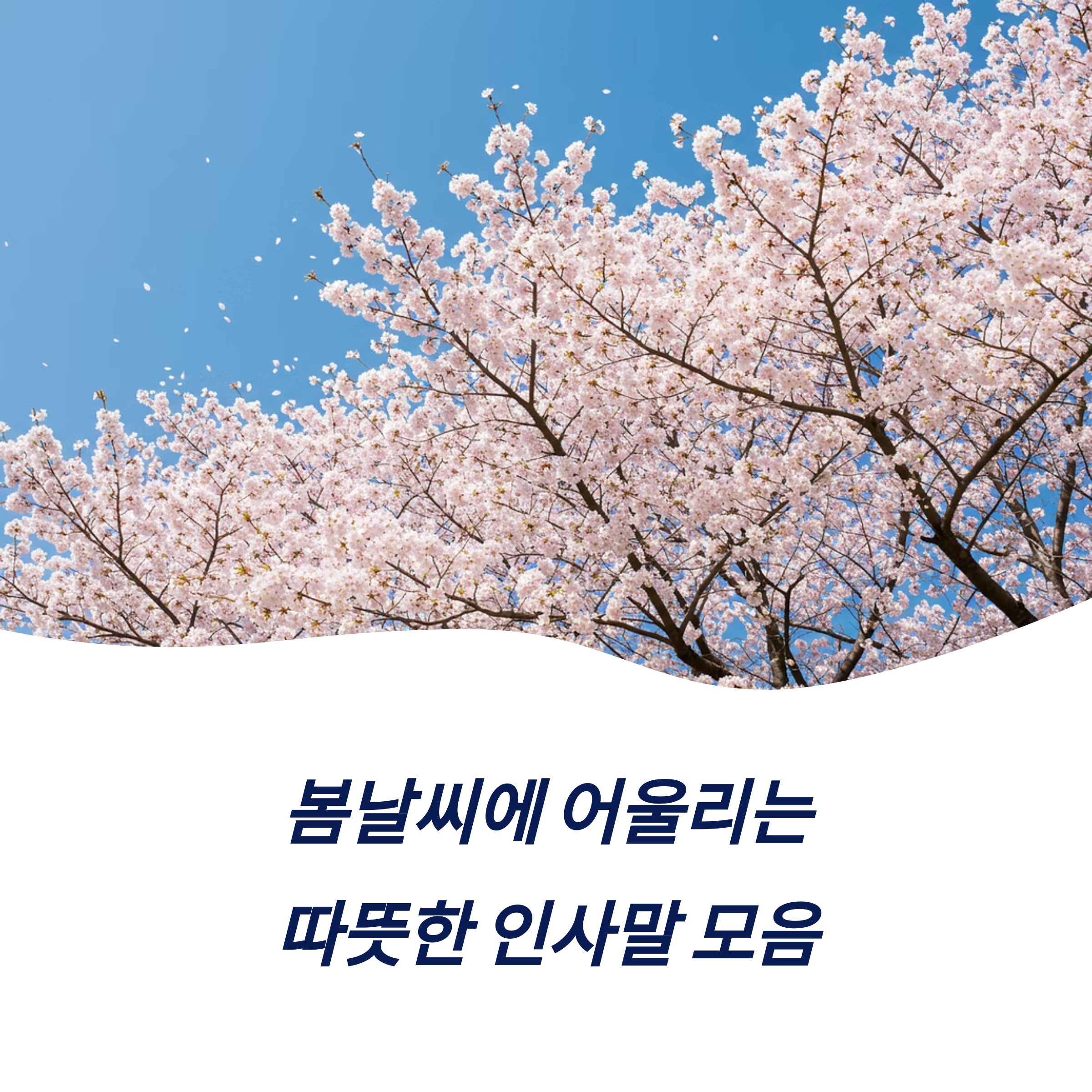 봄날씨에 어울리는 따뜻한 인사말 모음
