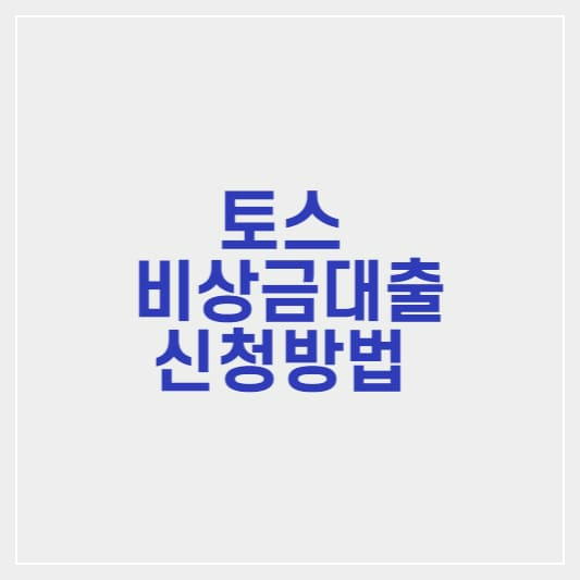 토스 비상금대출