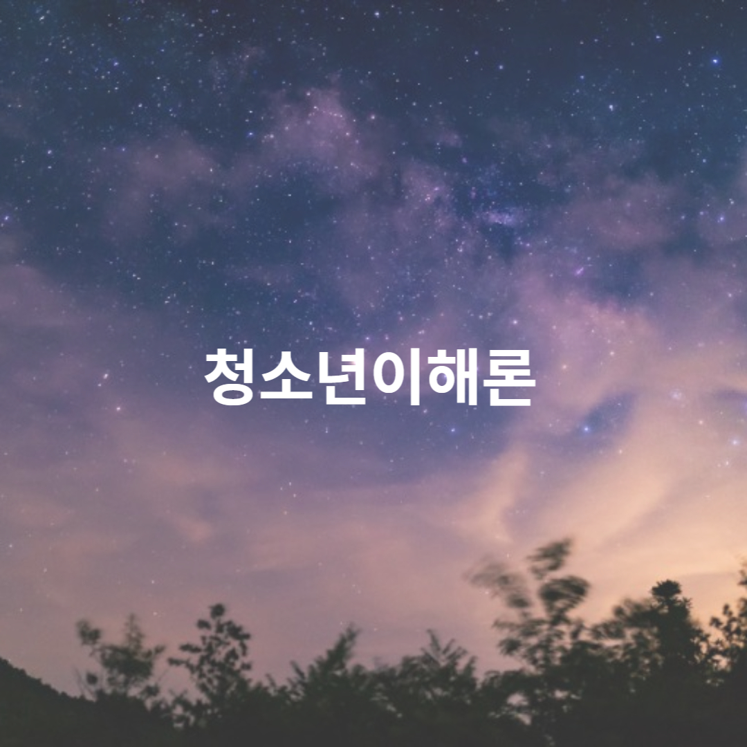 청소년이해론