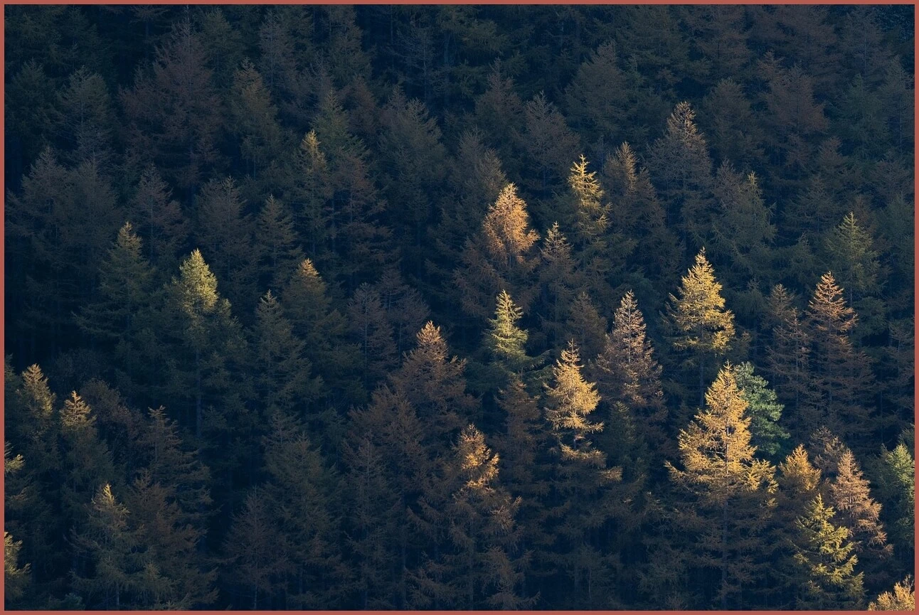 정기예금 금리비교