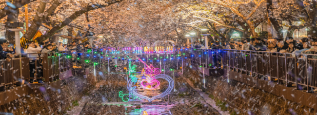 여좌천 별빛 축제