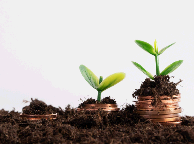 2030대를 위한 투자 전략