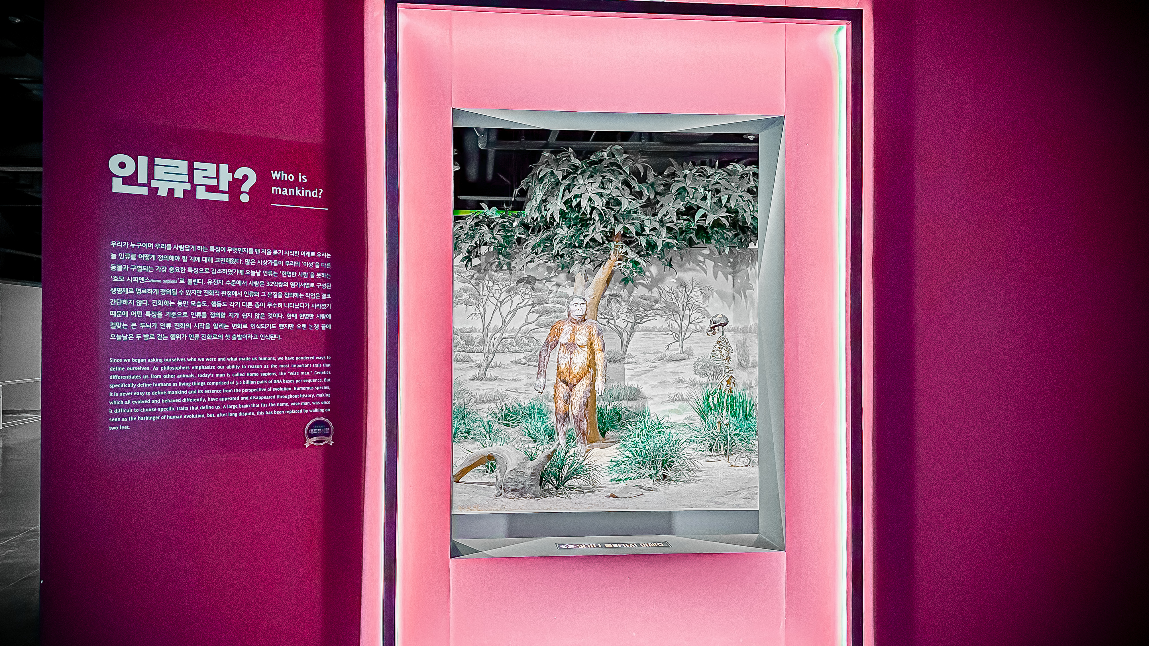 국립 중앙 과학관