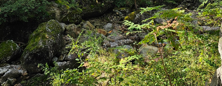 피아골 아름다운 계곡 사진