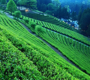 5월에 방문하는 축제 BEST 7