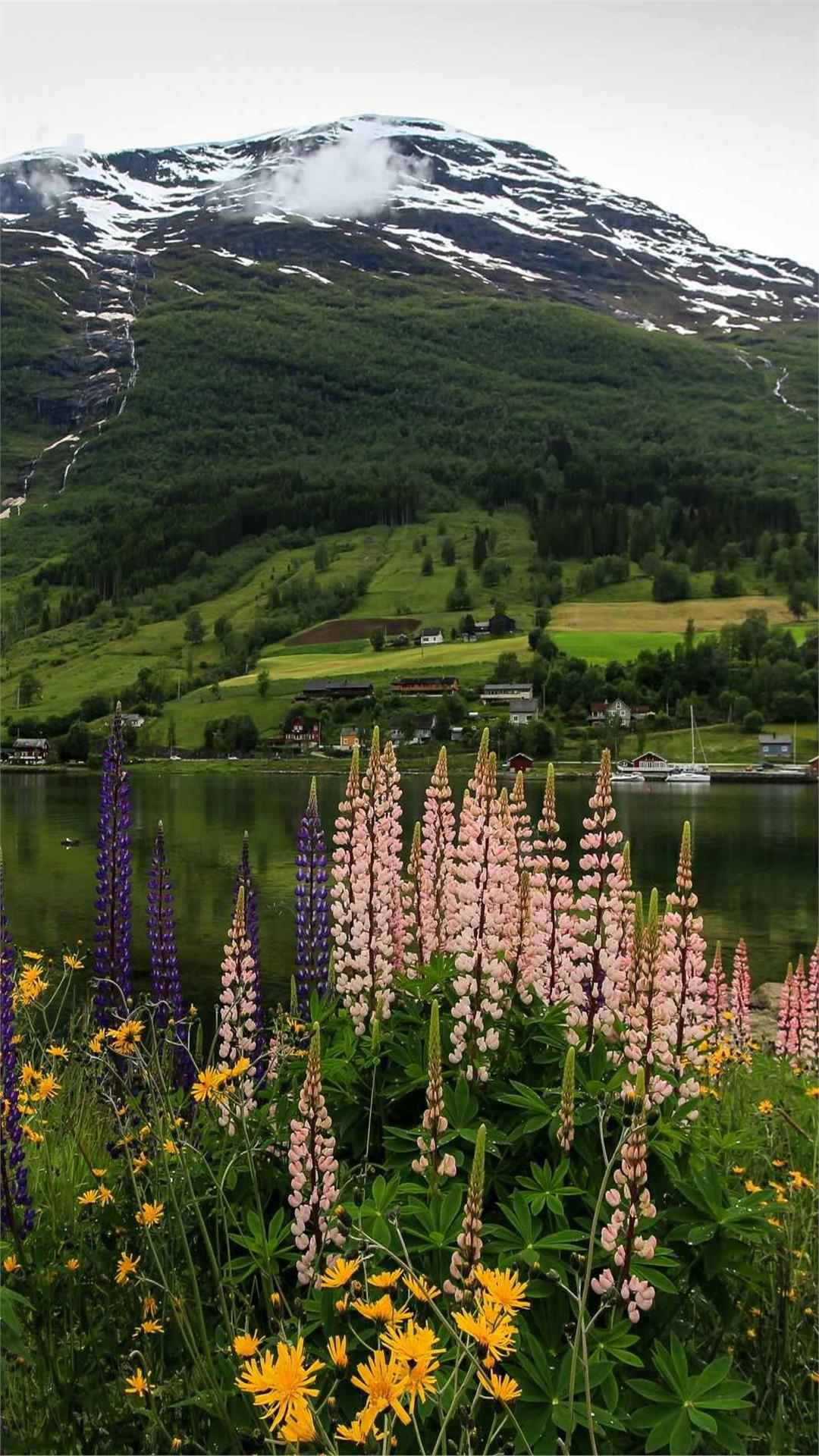 Flower wallpaper
