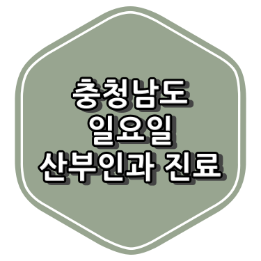 충남 산부인과