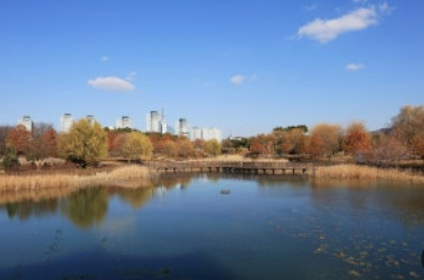 한밭수목원 &ndash; 도심 속 힐링 산책로