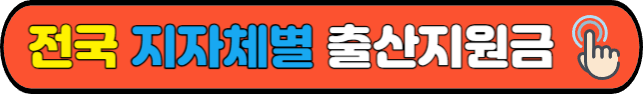 전국&nbsp;지자체별&nbsp;출산지원금