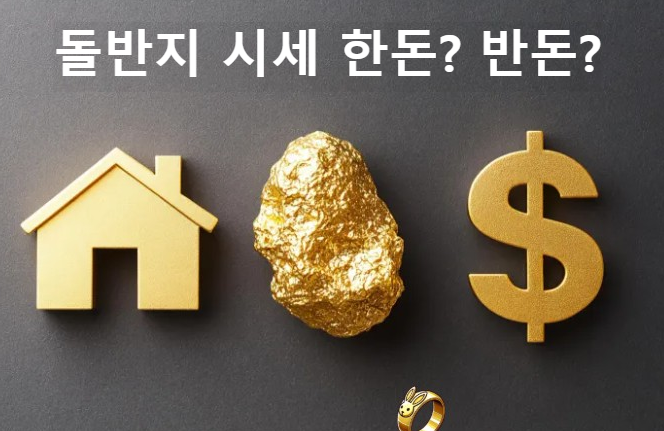 2025년 돌 반지 시세 및 한돈 반돈 가격