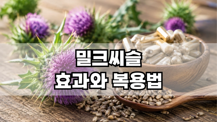 밀크씨슬 효과와 복용법
