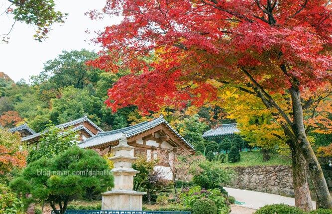 부석사