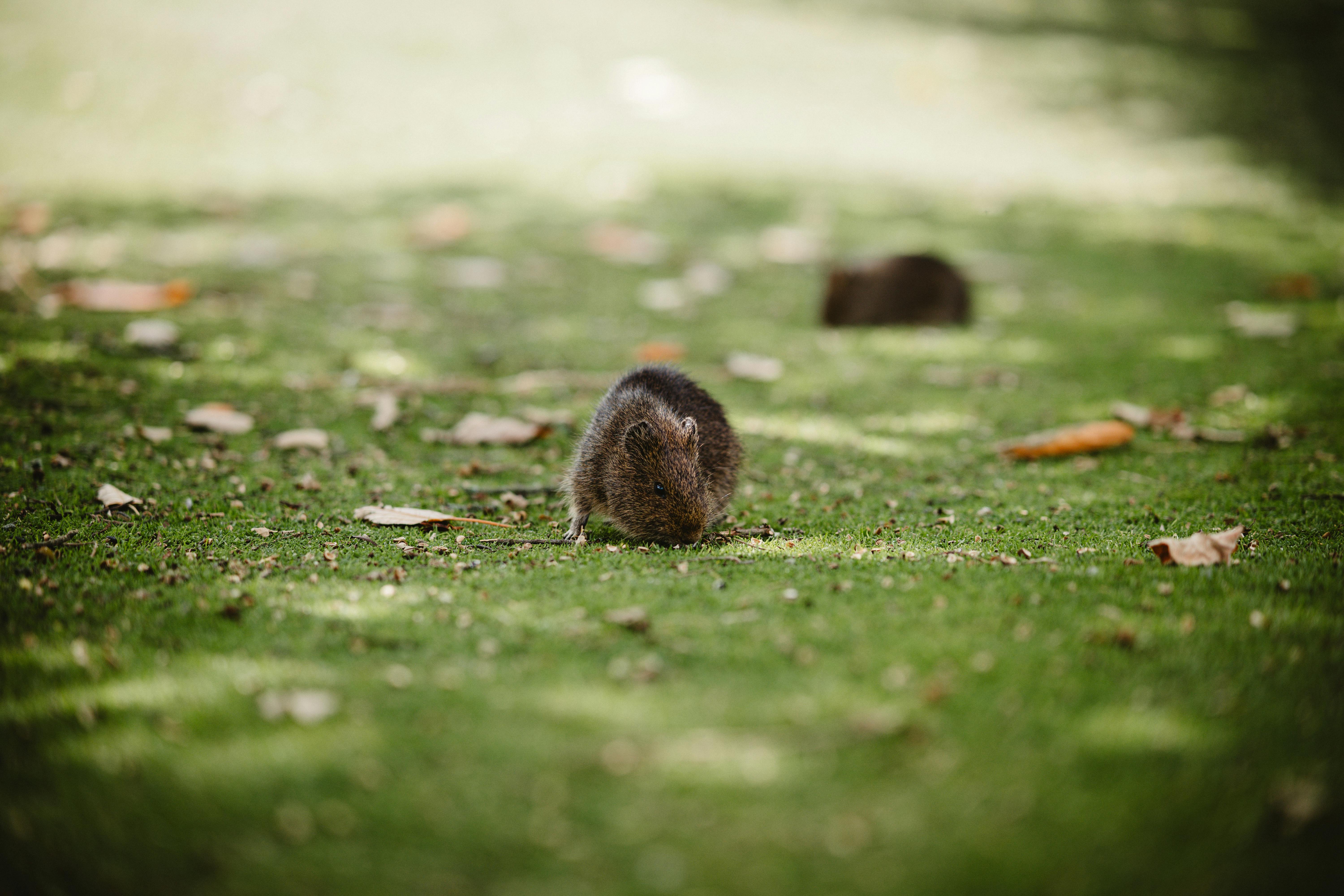싸우다가 갑자기 웃으며 화해하는을 상징하는 이미지