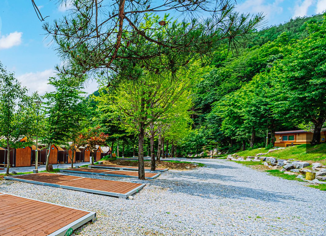 &ldquo;2025 평창더위사냥축제｜시원한 냉천 물놀이&middot;캠핑&middot;공연까지 총정리!&rdquo;