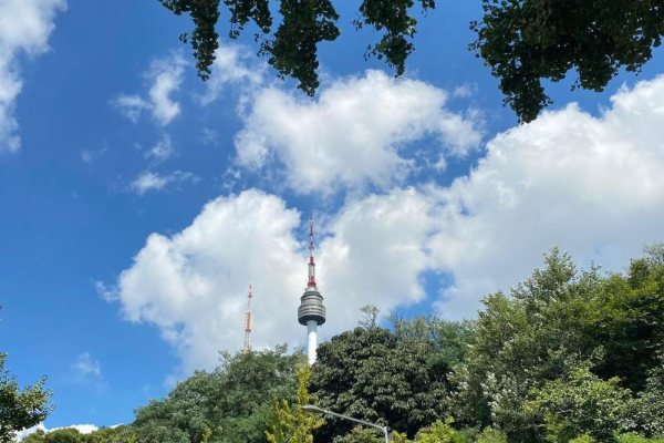 2025년 서울 벚꽃 명소 추천 (여의도 제외) 