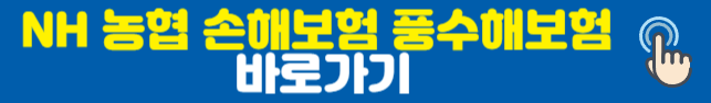 NH 농협 손해보험 풍수해보험
