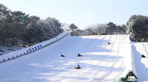 천안상록리조트눈썰매장