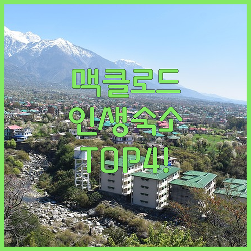 다람살라 맥클레오드간지 숙소 추천 베..