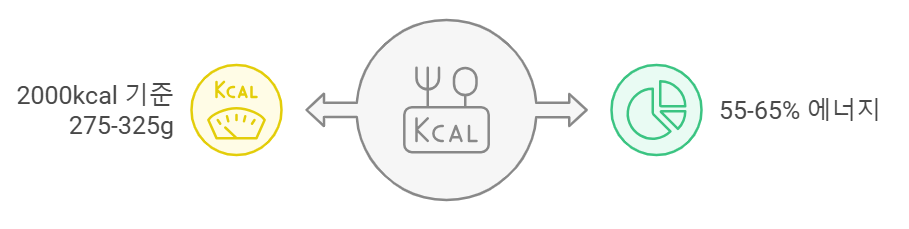 탄수화물 섭취 권장