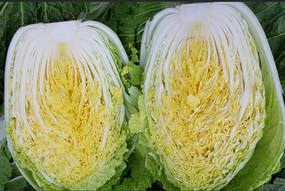 농부삼촌영농조합법인