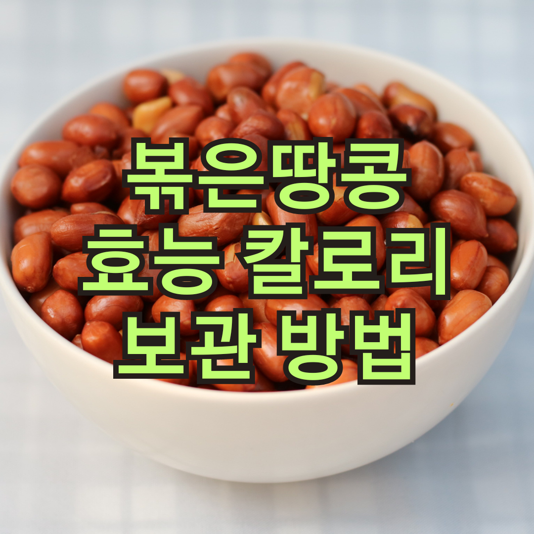 볶은땅콩 효능 칼로리 하루 섭취량 보관 방법