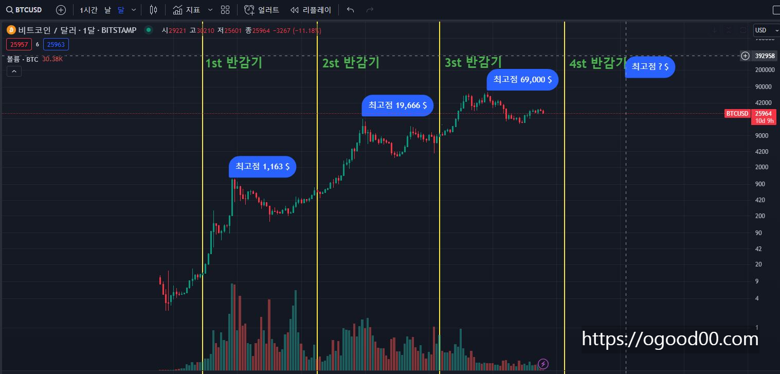 비트코인 월봉