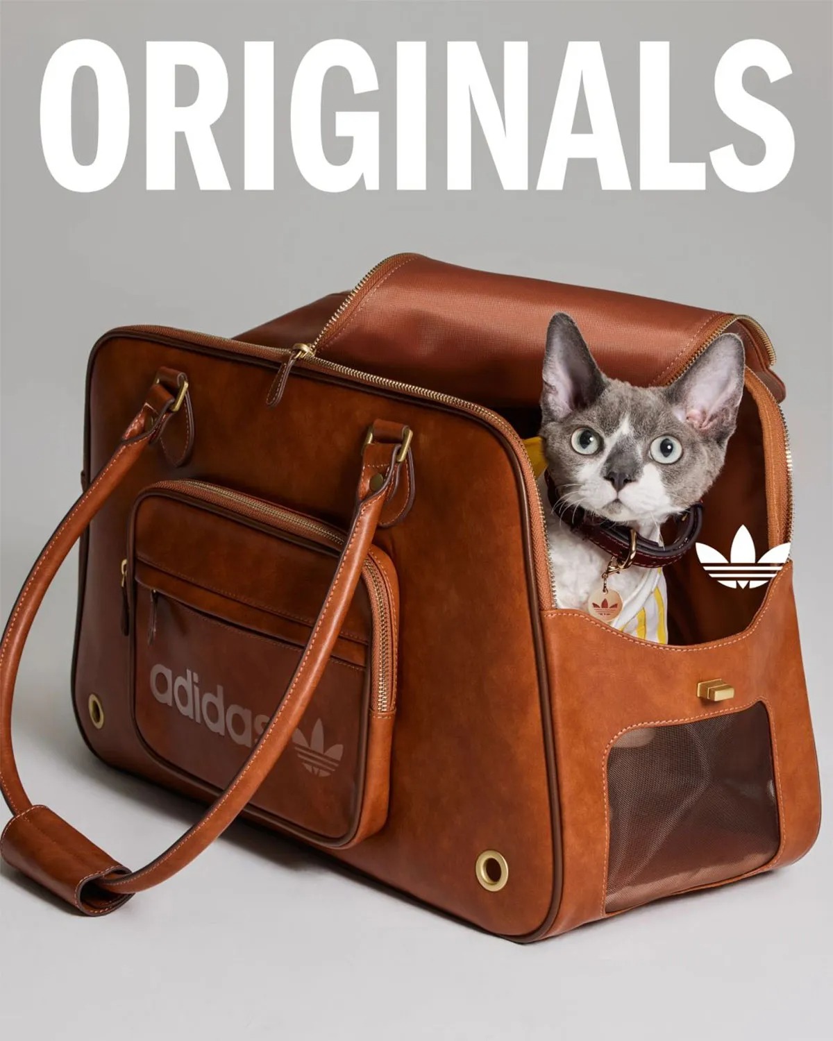 adidas Originals Is Dropping Apparel And Accessories For Pets