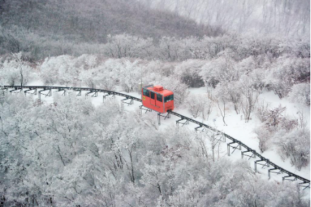 함양 대봉산 모노레일 예약