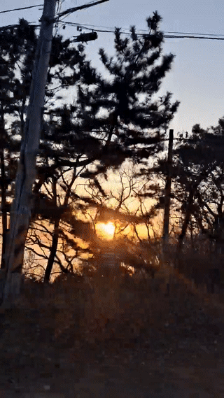 낙조보러 달려가는 중