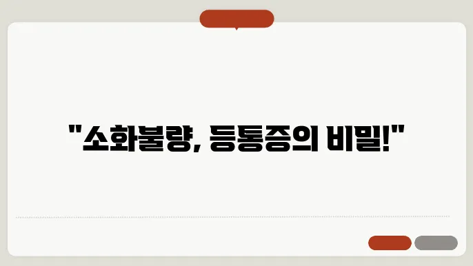 소화불량 관리법에 대한 개인적인 경험