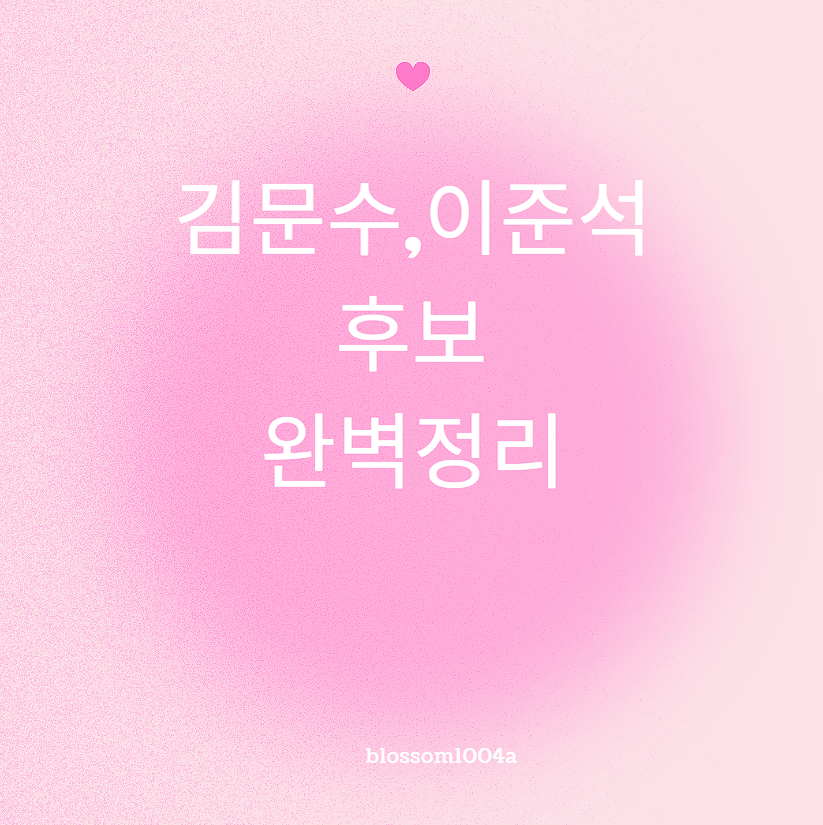 김문수 이준석 대선후보 완벽정리